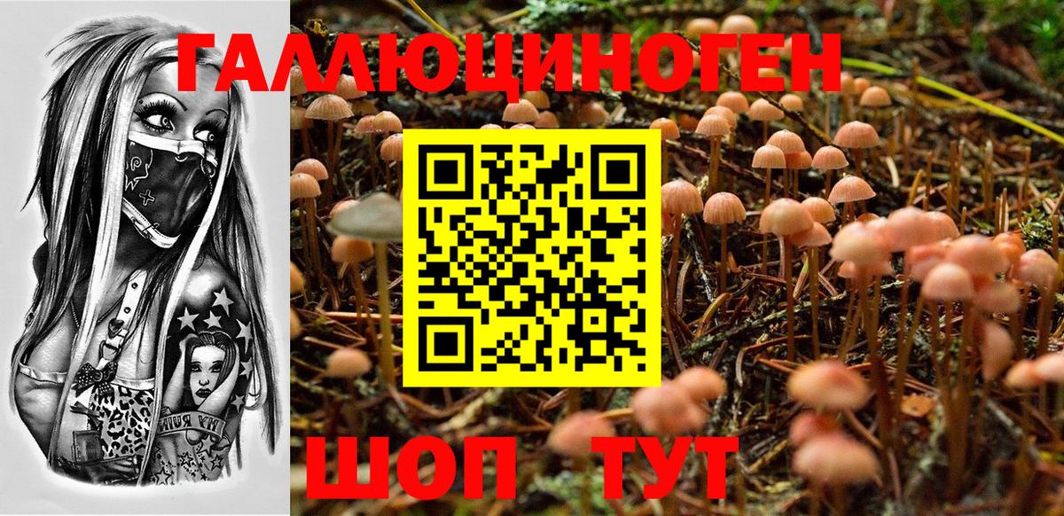 Псилоцибиновые грибы мухоморы Пермь