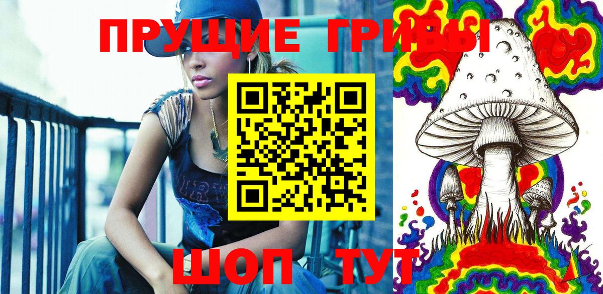 Галлюциногенные грибы Psilocybe  Вход с VPN  Пермь  Псилоцибиновые грибы прущие грибы 